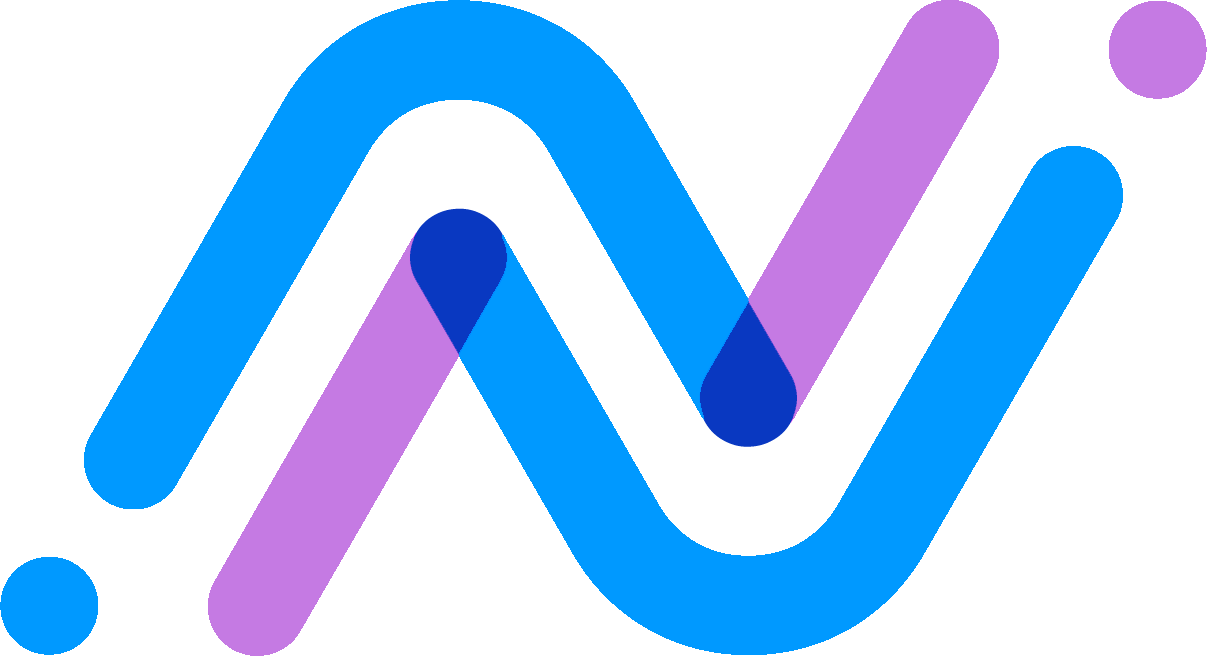 Net Architect